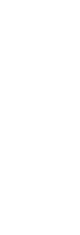 Пиво